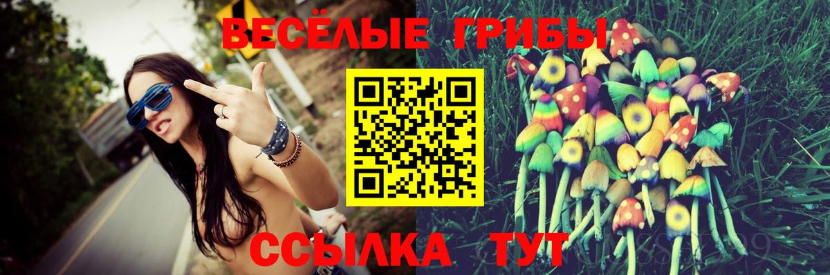 Северск  Галлюциногенные грибы Cubensis  Вход с VPN 